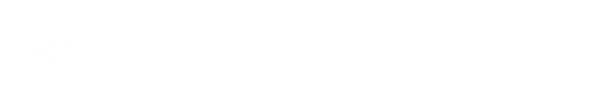 Ootori-international